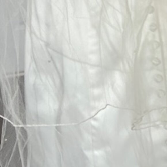 NWT Ivory Cathedral Veil w/ rhinestones main image 8